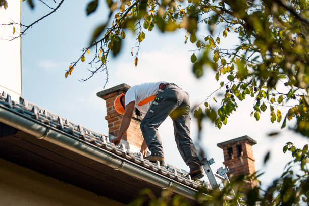 Quick and Trustworthy Emergency Roof Repair Services in Colfax, IL