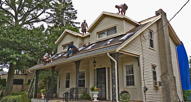 Best Storm Damage Roof Repair  in Colfax, IL
